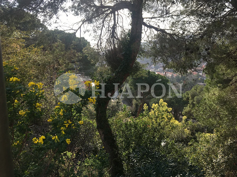 A Cabrils, exclusiva parcel · la en venda de 625 m2 amb vistes al mar - ref. 00532