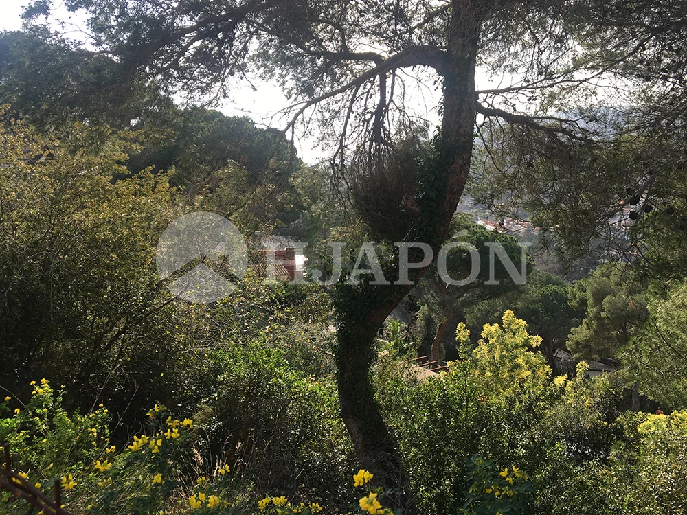 A Cabrils, exclusiva parcel · la en venda de 625 m2 amb vistes al mar - ref. 00532
